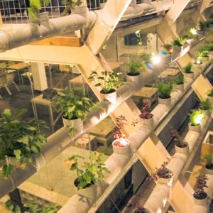 The Night Jar Roofbar & Dining